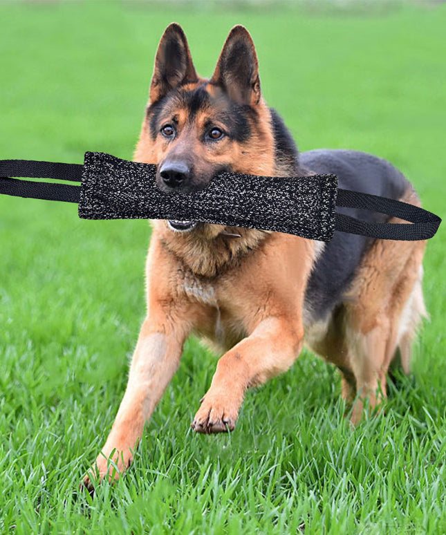 Durable Dog Bite Stick – Creative Tug Chew Stick for Teeth Cleaning | www.petpexi.com