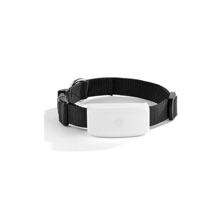 New Pet GPS Tracking Locator – Accurate, Waterproof & Long-Lasting | PetPexi