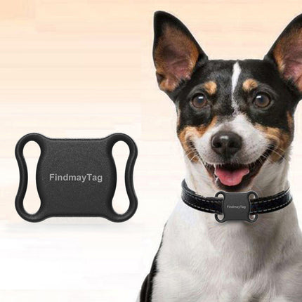 Smart Pet Cat Dog GPS Locator – Lightweight Accurate Tracker | www.petpexi.com
