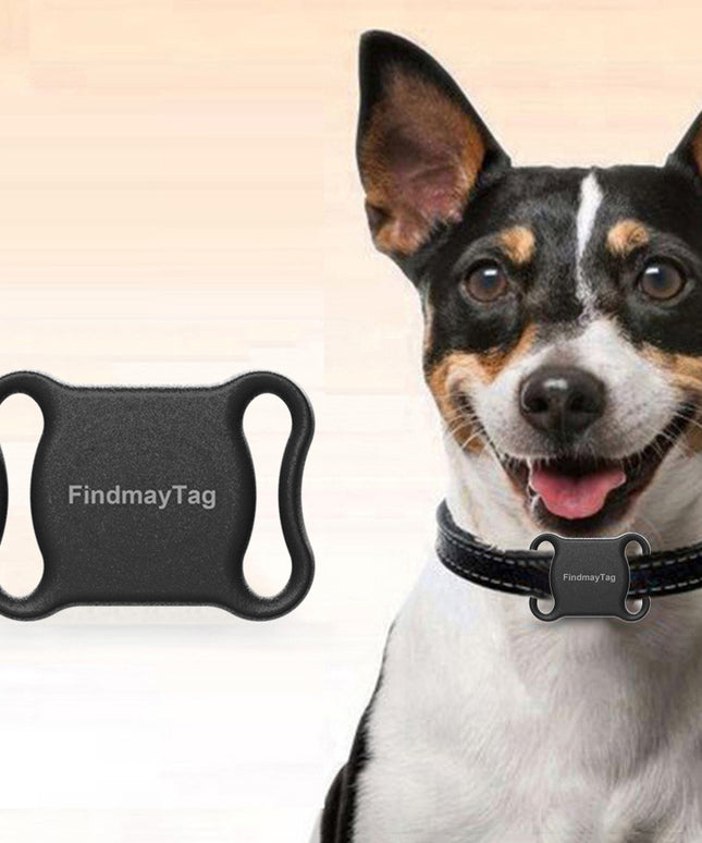 Smart Pet Cat Dog GPS Locator – Lightweight Accurate Tracker | www.petpexi.com