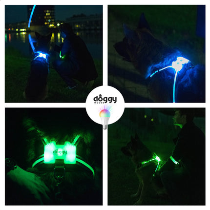 LED Luminous Anti-lost Anti-car Accident Warning Flashing Dog Harness - petpexi.com