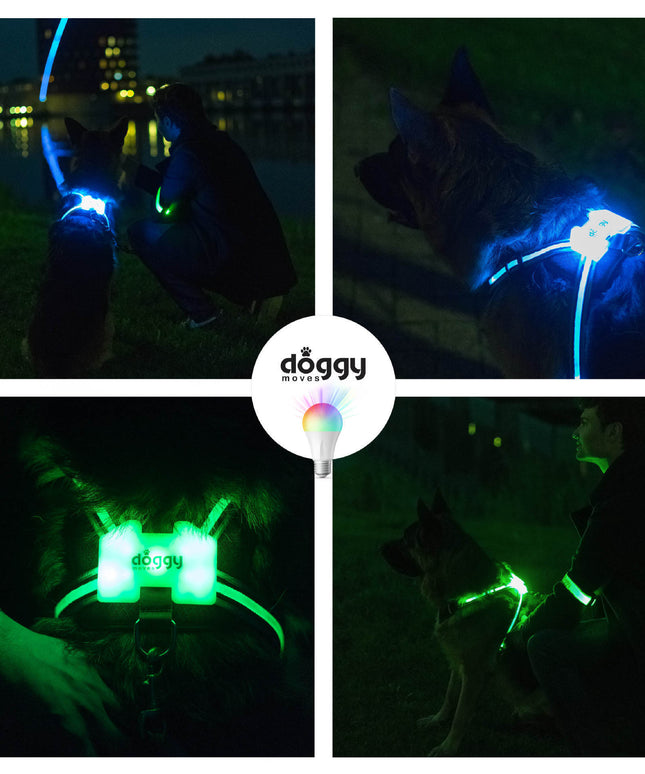 LED Luminous Anti-lost Anti-car Accident Warning Flashing Dog Harness - petpexi.com
