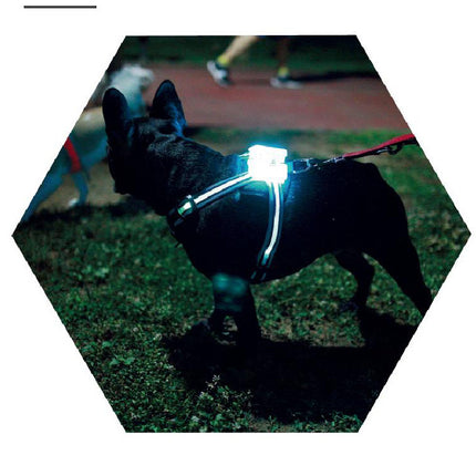 LED Luminous Anti-lost Anti-car Accident Warning Flashing Dog Harness - petpexi.com
