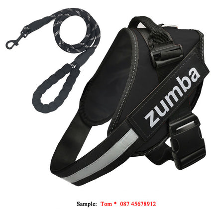 Personalized Reflective Breathable Adjustable Dog Harness and Leash Set | petpexi.com