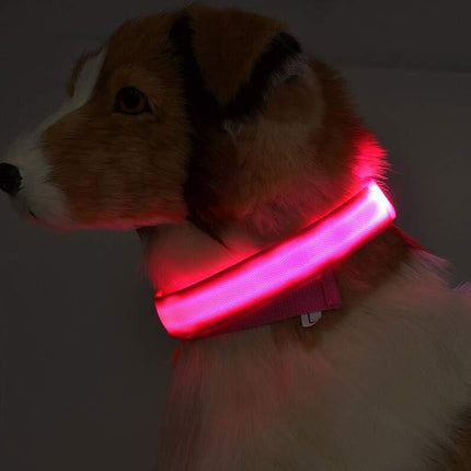 Nylon LED Luminous Dog Collar – Night Safety Flashing Glow Adjustable Pet Collar | Petpexi