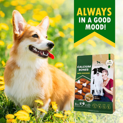 Dog Calcium Bones Wrapped with Chicken - Rawhide Free, Grain Free, Organic Treats for Training - Healthy Dried Snacks for Small & Large Dogs | PetPexi