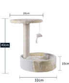 Apricot white disc