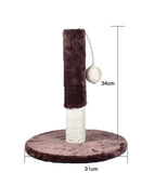 Funny cat column coffee color