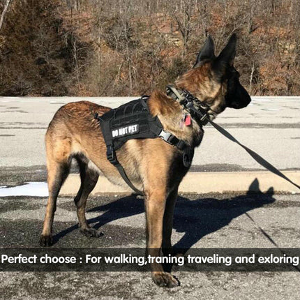 Tactical Training Dog Leash with 2 Control Handles - petpexi.com