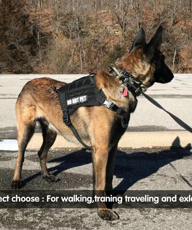 Tactical Training Dog Leash with 2 Control Handles - petpexi.com