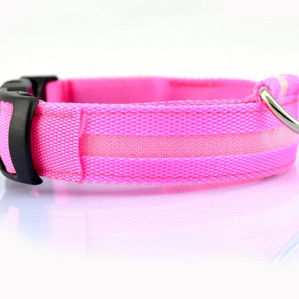Safety LED Dog Collar – Waterproof Fiber Optic Light-Up Collar in Multiple Colors | Petpexi