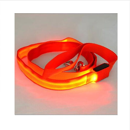 LED Illuminated Reflective Dog Leash – Nylon Pet Leash Rope with Light | petpexi.com