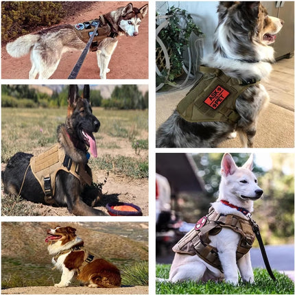 Luxury Tactical Dog Harness & Leash Set – 1000D Nylon Camouflage Chest Harness | Petpexi