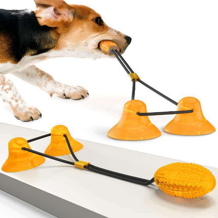 Suction Cup Pets Toys - Petpexi.com