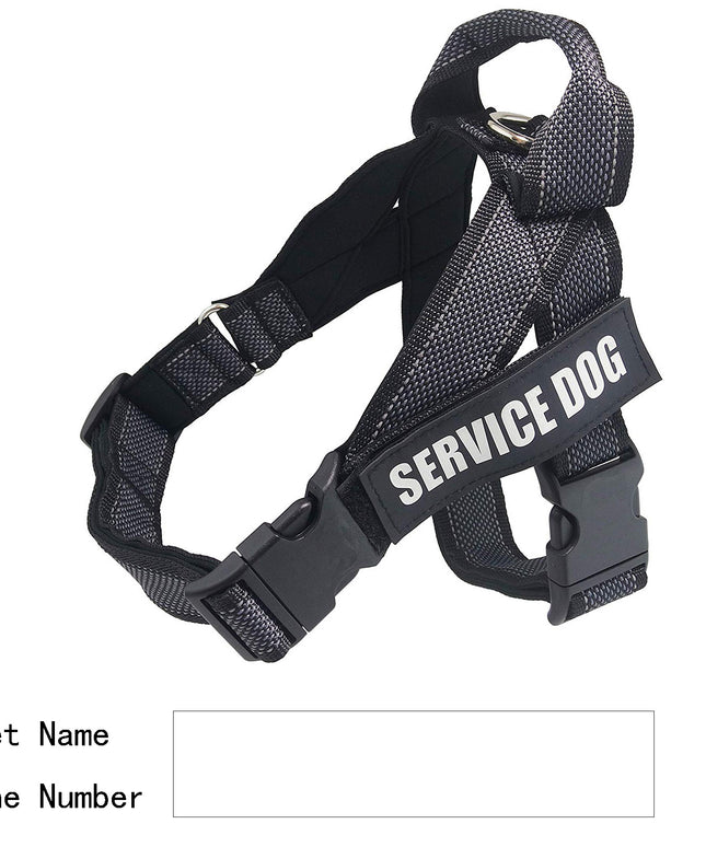 Personalized Custom Pet Harness – Stylish, Comfortable & Adjustable | Petpexi