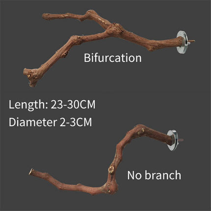 Bird Standing Stick – Natural Grape Wood Habitat for Parrots | PetPexi