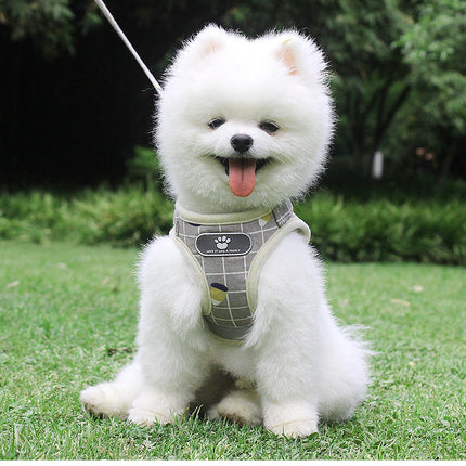 Breathable Mesh Small Dog Harness and Leash – Square Grid Reflective | Petpexi