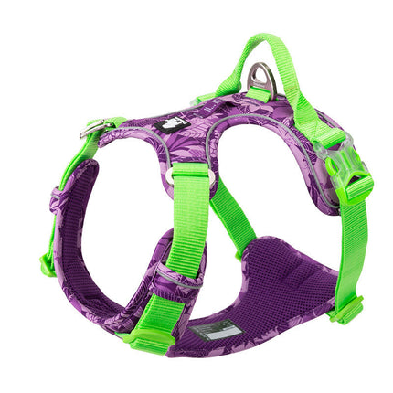 Dog Leashes & Chain Vest Straps – Durable Nylon Harness for All Dog Breeds | Petpexi