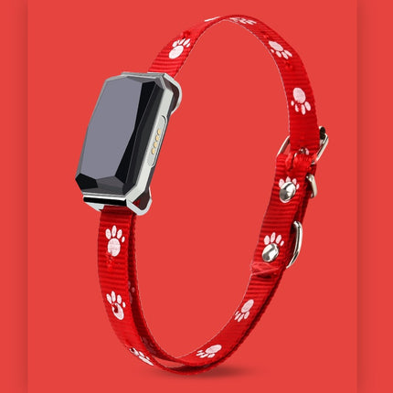 Beidou GPS Pet Positioning Collar - Premium Quality & Free Fast Shipping to USA | PetPexi