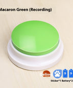 Recording Macaron Green
