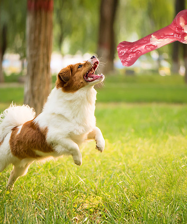 Pet Toy Bone Dog Molar Stick - Durable Rubber Chew Toy for All Dogs