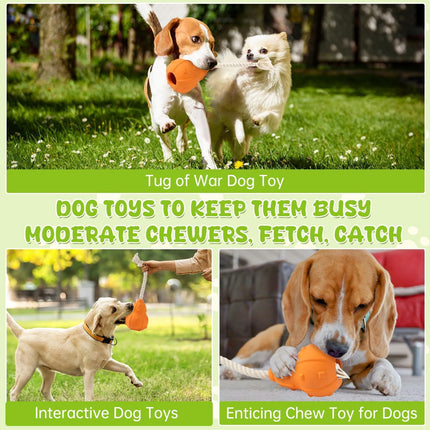Kong Dog Toy – Durable Chew, Fetch & Interactive Treat Dispensing Toy for Dogs | www.petpexi.com