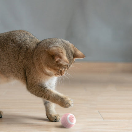 Automatic Moving Bouncing Rolling Ball – Smart Rechargeable Cat Toy | Petpexi