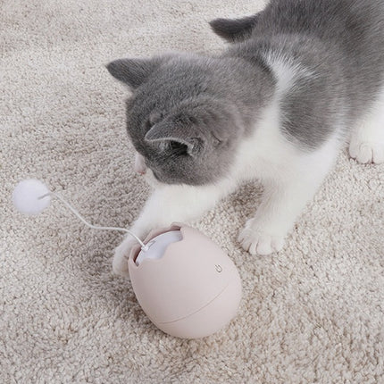 Funny Cat Artifact Toy – Interactive Knot Toy with Cotton Ball | Petpexi
