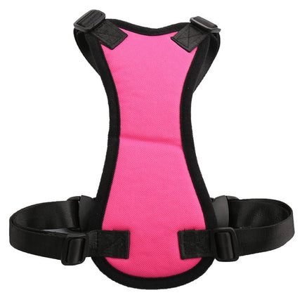 Car Seat Belts for Dogs – Safe Adjustable Travel Harness for Small & Large Dogs | Petpexi