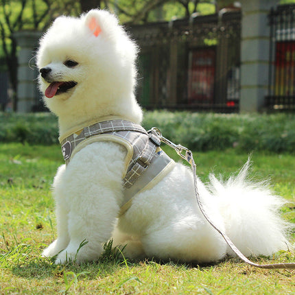 The New Reflective Dog Leash – Night Safety Traction Belt for Dogs | Petpexi