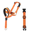 Orange / L