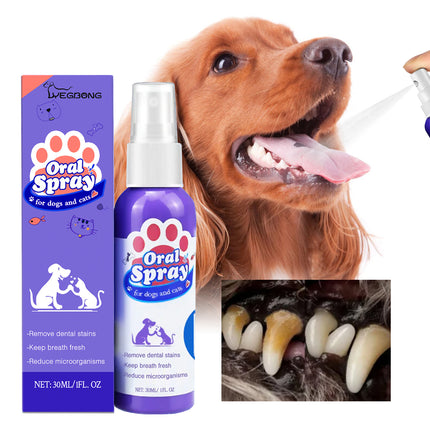 Pet Oral Spray for Cats & Dogs – Teeth Cleaning & Fresh Breath Formula | Petpexi