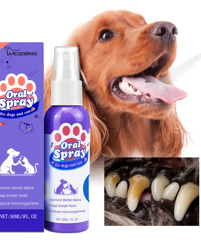 Pet Oral Spray for Cats & Dogs – Teeth Cleaning & Fresh Breath Formula | Petpexi