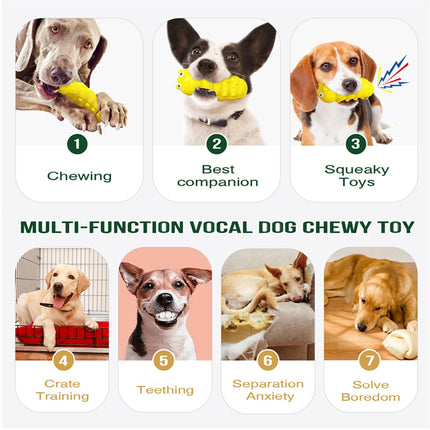 Indestructible Squeaky Dog Chew Toys for Aggressive Chewers - Medium, Durable, Food-Grade