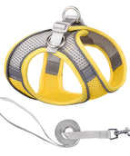 Yellow Gray