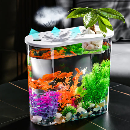 Acrylic Transparent Ecological Goldfish Tank – Hydroponic & Soil Design | PetPexi