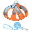 Orange Blue / L
