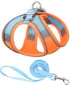 Orange Blue