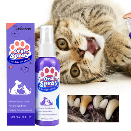Pet Oral Spray for Cats & Dogs – Teeth Cleaning & Fresh Breath Formula | Petpexi