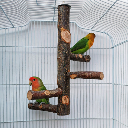 Parrot Bird Wood Stand Pole Toy – Stylish & Practical Apple Wood Stand | Free USA Shipping at PetPexi