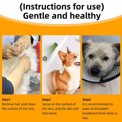 Pet Skin Care Spray for Dogs & Cats – Effective Moss & Hair Loss Treatment | Petpexi