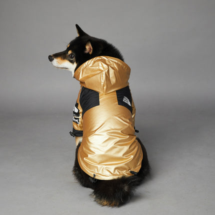 Golden Waterproof Dog Raincoat Jacket – Reflective & Stylish Rain Gear for Large Dogs | Petpexi