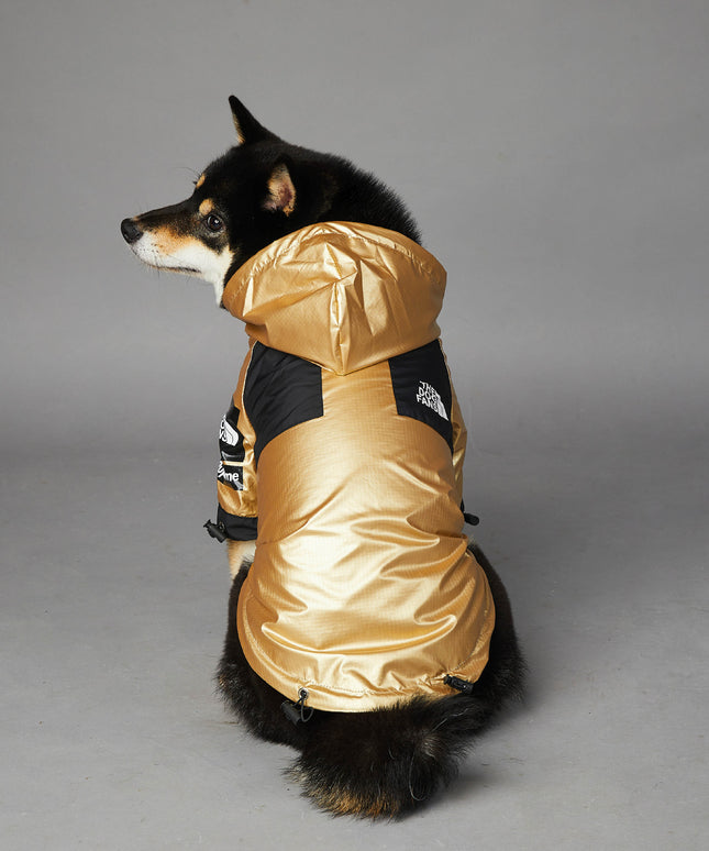 Golden Waterproof Dog Raincoat Jacket – Reflective & Stylish Rain Gear for Large Dogs | Petpexi