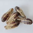 Opp Bagged / Perforated Carambola Fruit 5