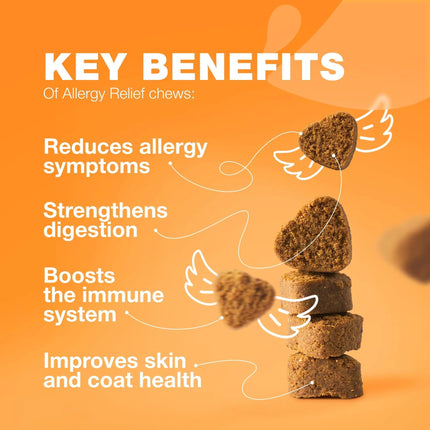 Dog Allergy Relief Chews – Anti-Itch & Skin Relief – Seasonal Allergies & Hot Spots Support – Immune Health – Salmon Oil – Free U.S. Shipping