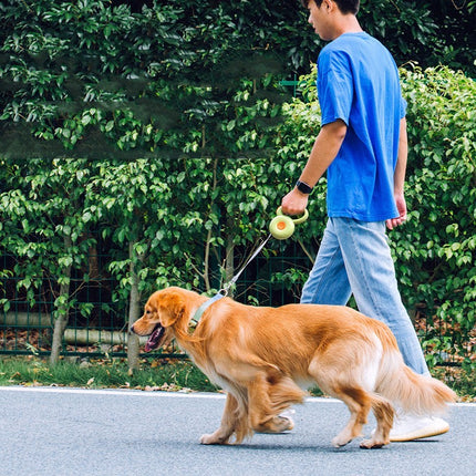 Retractable Pet Leash Reflective Rope - Automatic Dog Leash for All Sizes - petpexi.com
