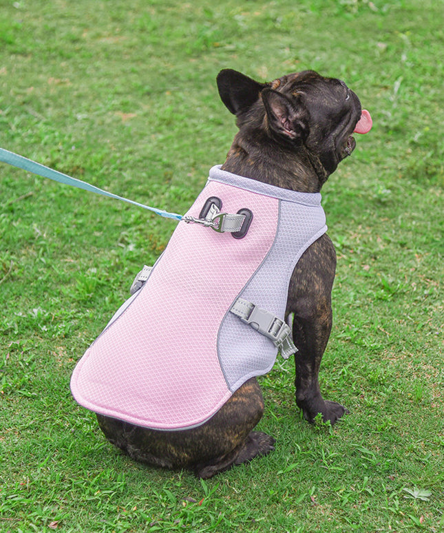 Summer Pet Outdoor Cooling Vest – Breathable, Lightweight & Comfortable for Hot Weather – Fast & Free Shipping at www.petpexi.com