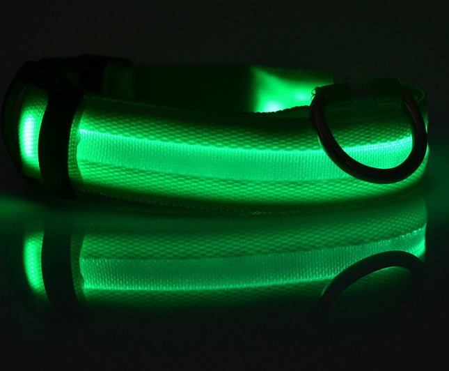 Nylon LED Luminous Dog Collar – Night Safety Flashing Glow Adjustable Pet Collar | Petpexi