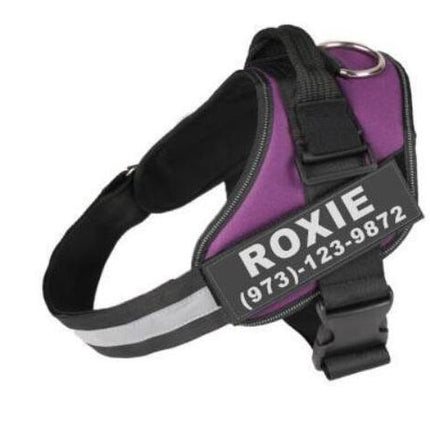 Personalized Custom Reflective Breathable Dog Harness NO PULL Adjustable Pet Harness for Small Large Dogs and Cats - Best Harness for French Bulldogs, Puppy Harness, Cat Harness - petpexi.com