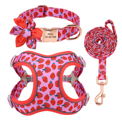 Small Dog Teddy & Corgi Collar with Leash & Strap – Durable & Adjustable | Petpexi